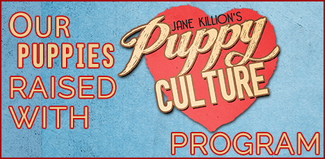 Puppy Culture Program
